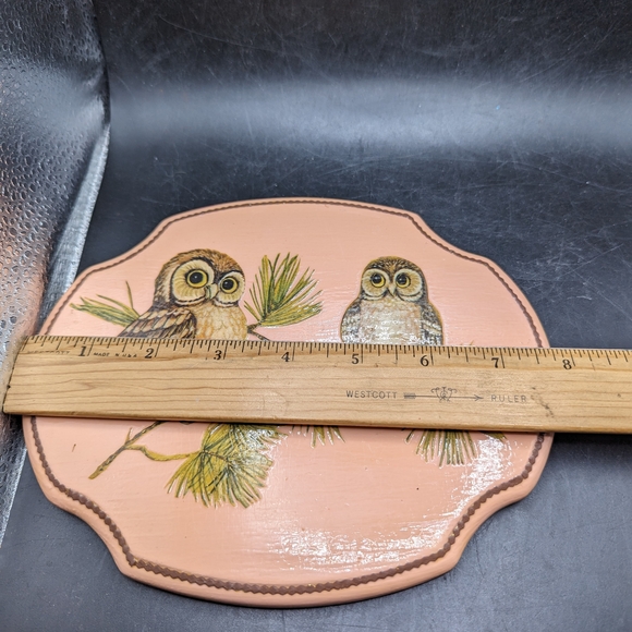 Vintage Owl Decorative Wall Hanging with Pine Branch Design - Picture 5 of 6